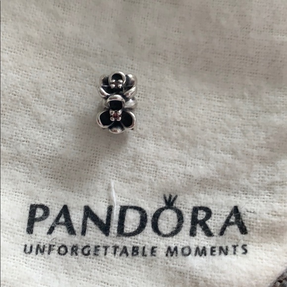 Pandora charm - Picture 1 of 1